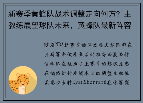 新赛季黄蜂队战术调整走向何方？主教练展望球队未来，黄蜂队最新阵容