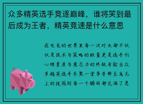 众多精英选手竞逐巅峰，谁将笑到最后成为王者，精英竞速是什么意思